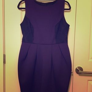 Dorothy Perkins Dress, eggplant colour, UK size 14